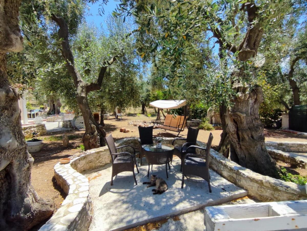 Villa Rosy Vieste Extérieur photo